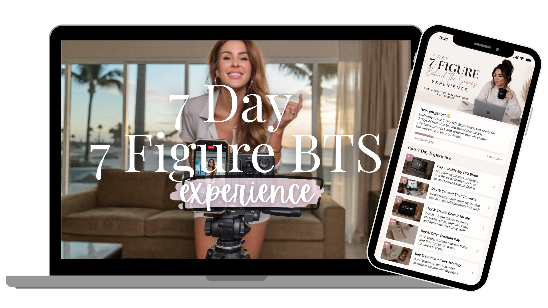 BTS Private Access Portal preview
